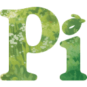 Pi logo
